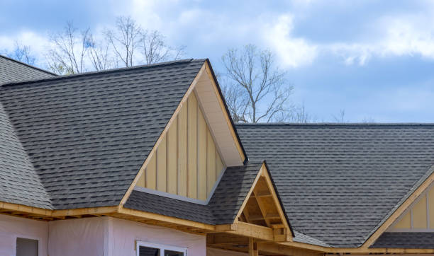 Best Roof Coating and Sealing  in Lorain, OH