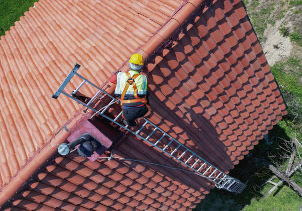 Best Roof Insulation Installation  in Lorain, OH