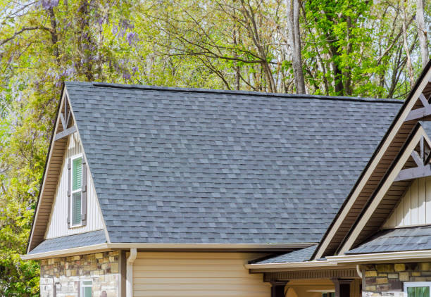 Best Chimney Flashing Repair  in Lorain, OH