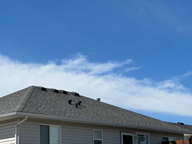 Best Sheet Metal Roofing  in Lorain, OH