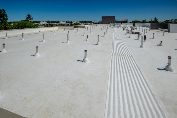 Best Roof Repair  in Lorain, OH